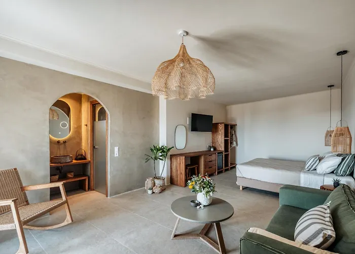 شقة فندقية Athera Mykonos Tagoo (Mykonos)