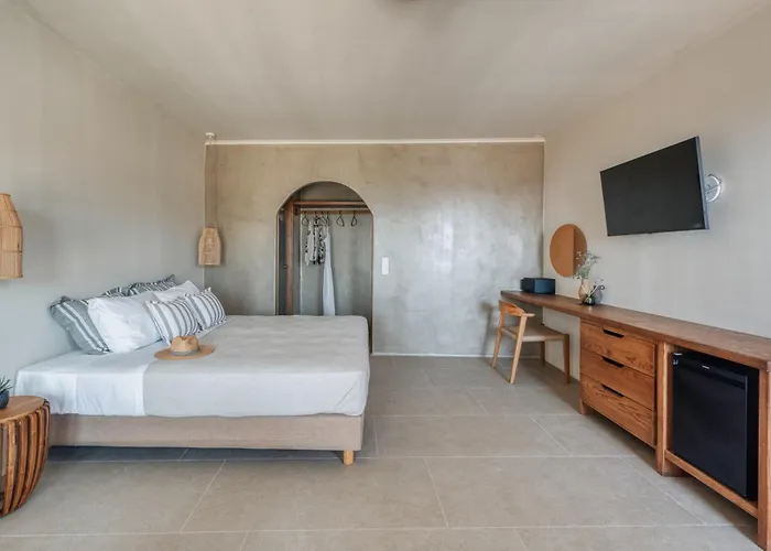 شقة فندقية Athera Mykonos 4*